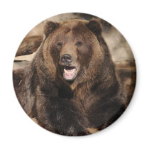 Grizzly Bear Boar Fridge Magnet