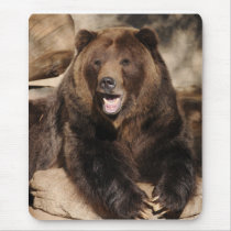 Grizzly Bear Boar mousepads by jkingiv Grizzly Bear Boar mousepads