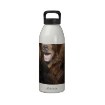 Grizzly Bear Boar Water Bottles