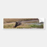 Grizzly Bear Bumper Sticker