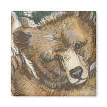 Grizzly Bear Cub and Tree Stump magnets