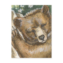 Grizzly Bear Cub and Tree Stump postcards