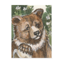 Grizzly Bear Cub postcards