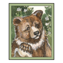 Grizzly Bear Cub posters