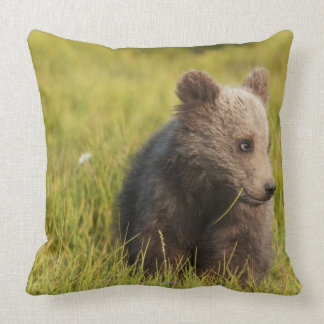 grizzly bear pillow