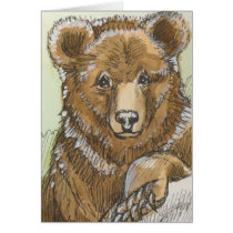 Grizzly Bear Cub Watching cards