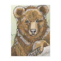 Grizzly Bear Cub Watching postcards