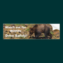 GRizzly Bear Cub Wildlife Supporter Bumper Sticker bumper stickers