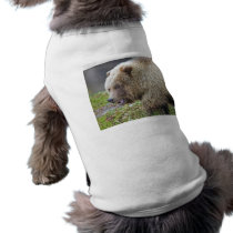 Grizzly Bear pet clothing