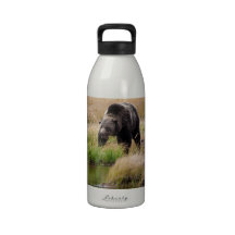Grizzly Bear Drinking Bottles