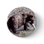 Grizzly Bear Eating a Salmon Pinback Button Grizzly Bear Eating a Salmon Pinback Button