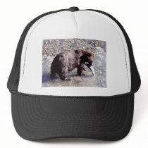 Grizzly Bear Eating a Salmon Hats