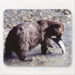 Grizzly Bear Eating a Salmon Mouse Pads Grizzly Bear Eating a Salmon Mouse Pads