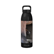 Grizzly Bear in a Cave Drinking Bottle