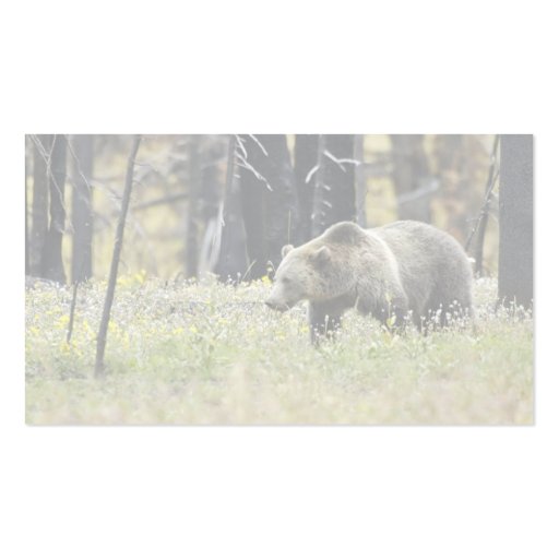Grizzly Bear in Field at Yellowstone National Park Business Card Template (back side)
