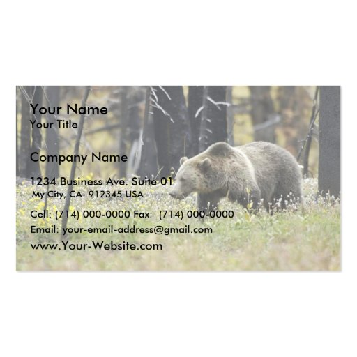 Grizzly Bear in Field at Yellowstone National Park Business Card Template (front side)