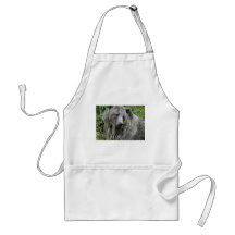 Grizzly Bear in Yellowstone National Park Apron