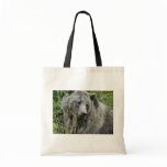 Grizzly Bear in Yellowstone National Park Bags