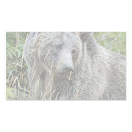 Grizzly Bear in Yellowstone National Park Business Card Templates (back side)