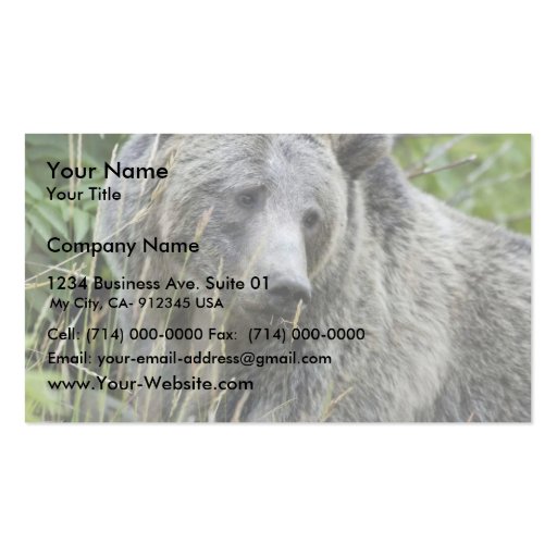Grizzly Bear in Yellowstone National Park Business Card Templates (front side)