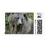 Grizzly Bear in Yellowstone National Park Stamps
