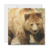 Grizzly Bear Invitation