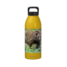 Grizzly Bear Liberty Bottle Reusable Water Bottle