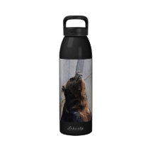 Grizzly Bear Looking Up Water Bottle