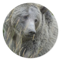 Grizzly_Bear_Lovers stickers by WildByDezign Grizzly_Bear_Lovers stickers