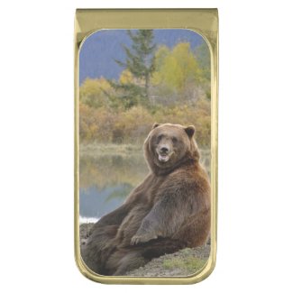 Grizzly Bear Money Clip