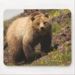 animal lover, animal, cute animal, cute animals,