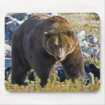 Grizzly Bear mousepads by wayazo Grizzly Bear mousepads