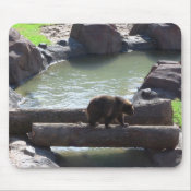 Grizzly Bear mousepad