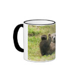 Grizzly Bear Mugs Grizzly Bear Mugs