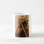 grizzly bear mug
