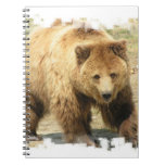 grizzly,, grizzly bear,, bears,, bear,,