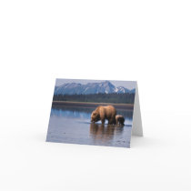 Grizzly Bear Notecard