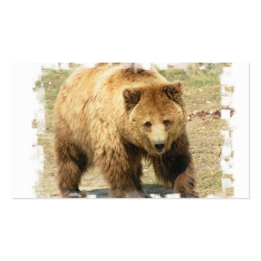 Grizzly Bear on a Business Card (back side)