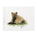 ##imgtitle## Grizzly Bear Post Card postcards
