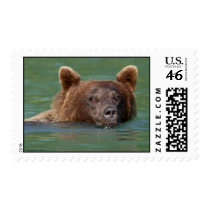 Grizzly Bear postage by WorldDesign Grizzly Bear postage