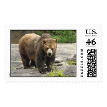 Grizzly Bear postage postage by write2chinu Grizzly Bear postage postage