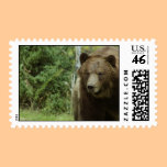 Grizzly Bear Postage Stamp stamps