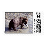 Grizzly Bear Postage Stamp Grizzly Bear Postage Stamp