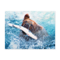Grizzly Bear Postcard