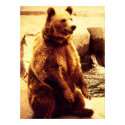 grizzly bear print by lizzymmmcf grizzly bear print