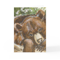 Grizzly Bear Resting cards