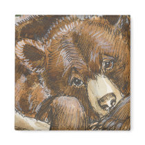 Grizzly Bear Resting magnets