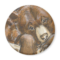 Grizzly Bear Resting magnets