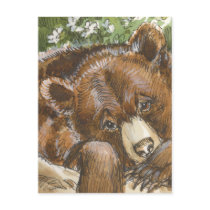 Grizzly Bear Resting postcards
