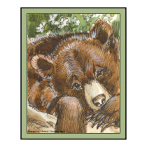 Grizzly Bear Resting posters